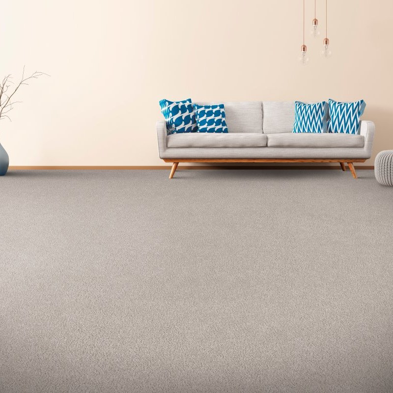 Factory Flooring Outlet providing stain-resistant pet proof carpet in Redding, California.